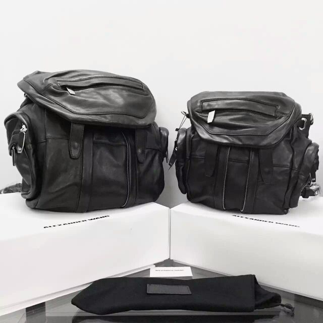 BLSJ-N8740　2015年アレキサンダー ワンショルダーバッグオリジナルレザー