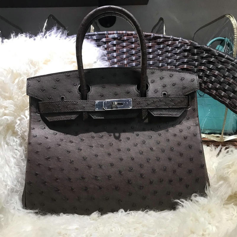 商品名称：エルメス HERMES 063-HBK35TPSF 2019年最新入荷 バーキン トートバッグ トップハンドバッグ オーストリッチ
