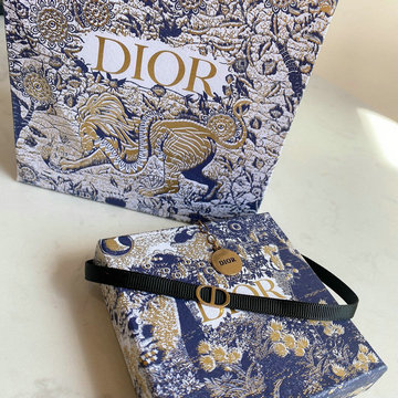 クリスチャンディオール CHRISTIAN DIOR CZ-CDXL20004 2020年最新入荷 ネックレス アクセサリー ジュエリー