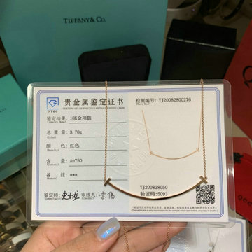 ティファニーTIFFANY CO CZZ-TFXL20003 2020年最新入荷 ネックレス アクセサリー ジュエリー