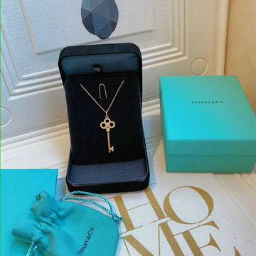 ティファニーTIFFANY CO  CZ-TFXL20005 2020年最新入荷 ネックレス アクセサリー ジュエリー