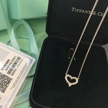 ティファニー TIFFANY CO CZ-TFXL20001  2020年最新入荷 ネックレス アクセサリー ジュエリー
