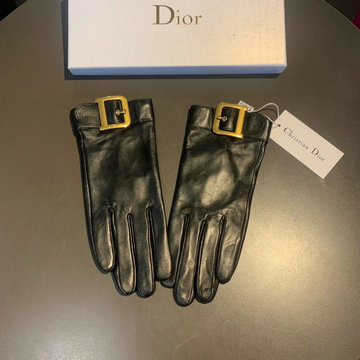 クリスチャンディオール CHRISTIAN DIOR AN-STCD21002　2021年最新入荷 レザー 手袋 スマホタッチパネル 対応 グローブ 防寒 冬用 全指タッチ 手袋 防風
