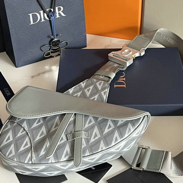 クリスチャンディオール CHRISTIAN DIOR 99-CD1093GHS 2023年最新入荷 ヒット ザ ロード ウェストバッグ ベルトバッグ ショルダーバッグ