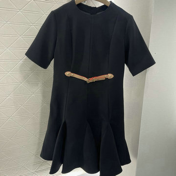 商品名称：ルイヴィトン LOUISVUITTON XG-KQLV25004 2025年春夏最新入荷 ドレス ショートスリーブ ワンピース レディース 半袖