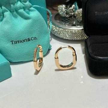 商品名称：ティファニーTIFFANY CO CZZ-EHTF25001 2025年最新入荷 イヤリング ピアス ジュエリー