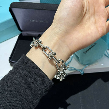 ティファニーTIFFANY CO CZZ-SZTF25005 2025年最新入荷 バングル ジュエリー