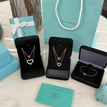 ティファニーTIFFANY CO CZZ-XLTF25001 2025年最新入荷 ネックレス ジュエリー