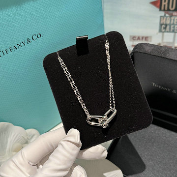 商品名称：ティファニーTIFFANY CO  CZZ-XLTF25006 2025年最新入荷 ロングチェーン ネックレス ジュエリー