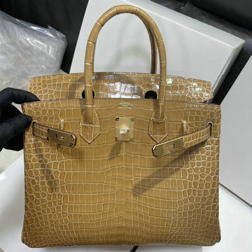 エルメス HERMES 2025年新作 バーキンバッグ 25 cargo トップハンドルバッグ トートバッグ ハンドバッグ Saltwater crocodile