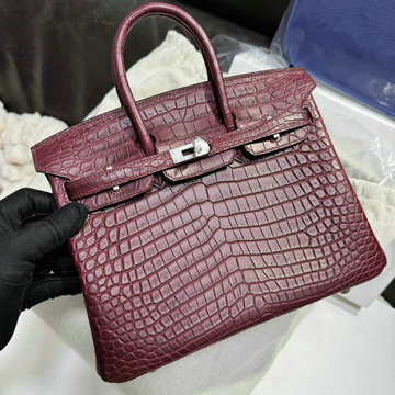 エルメス HERMES 2025年新作 バーキンバッグ 25 cargo トップハンドルバッグ トートバッグ ハンドバッグ Saltwater crocodile