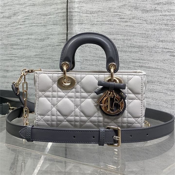 商品細詳を見る:クリスチャンディオール CHRISTIAN DIOR 2026年 レディ D-ジョイ トートバッグ ショルダーバッグ レディース