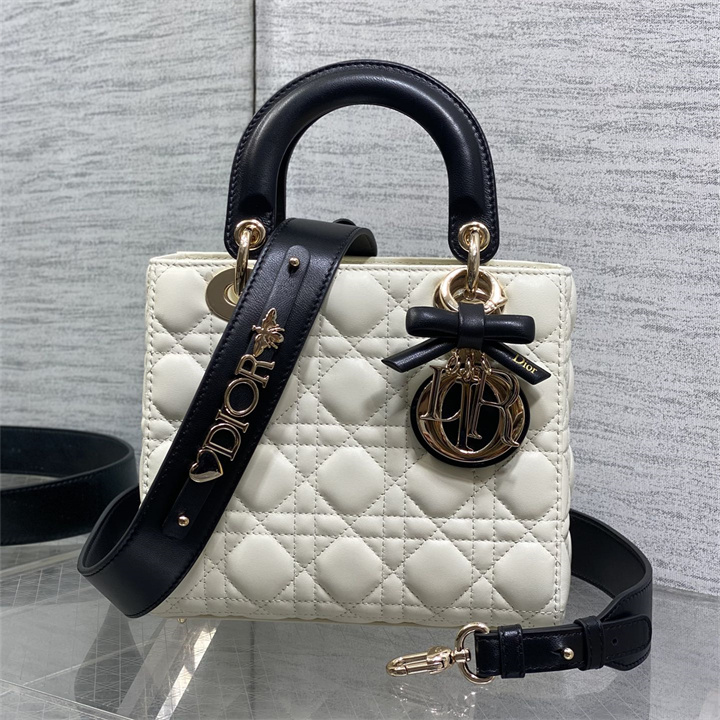 商品細詳を見る:クリスチャンディオール CHRISTIAN DIOR 2026年 レディ ディオール ミニ トートバッグ ショルダーバッグ レディース