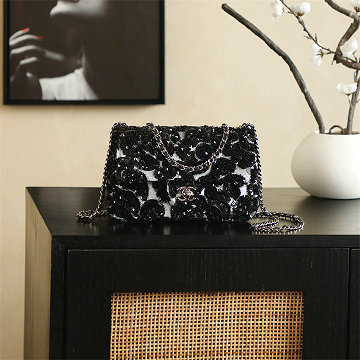 商品細詳を見る:シャネル CHANEL 025-CH4818RBK  2026年新作 スモール カメラバッグ ショルダーバッグ レディース