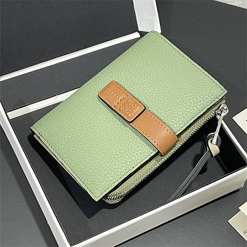 商品細詳を見る:ロエベ LOEWE 99-LE3780GZH 2026年 コンパクト ジップウォレット カード入れ 小銭入れ