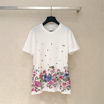 商品細詳を見る:クリスチャンディオール CHRISTIAN DIOR 2026年 Tシャツ 半袖 クルーネック レディース カジュアル